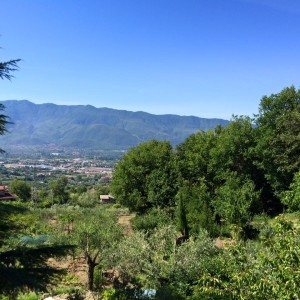 Villa Montemma - landscape